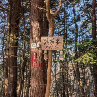 恩若峰に到着!!
眺望はなかったなぁ〜