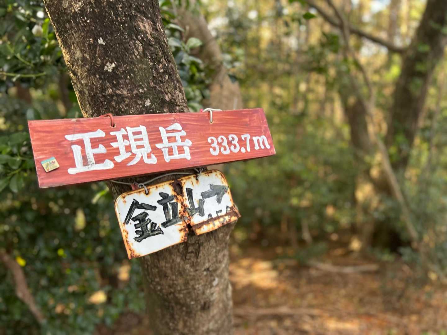到着🙌