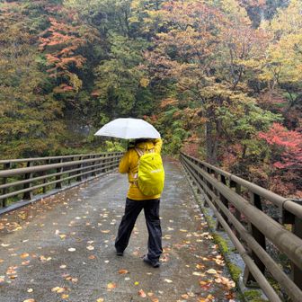 雨だしガッツリ歩くのもヤだ

なので今月末で今期クローズになっちゃう
赤湯までお山歩🕺

お風呂入りに行きまっしょい♨️

傘さしてスタート▶️