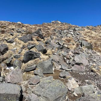 雪なくなって岩だらけ…
アイゼン外したい😓