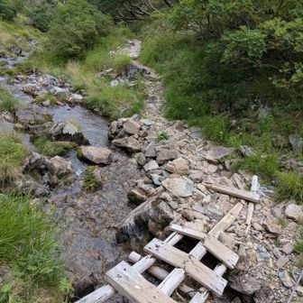 小屋の周りもよい雰囲気