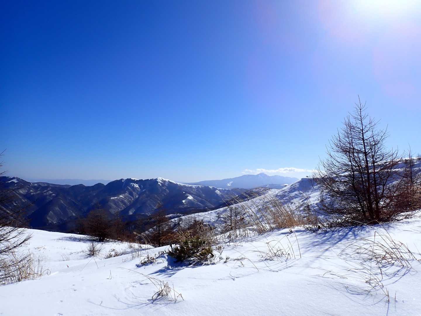 左手前に三峰山、右奥に蓼科山。
