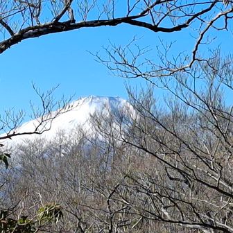 木々の間から富士山も見えました。