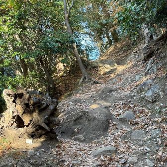 巻き道を選んで登り詰め、