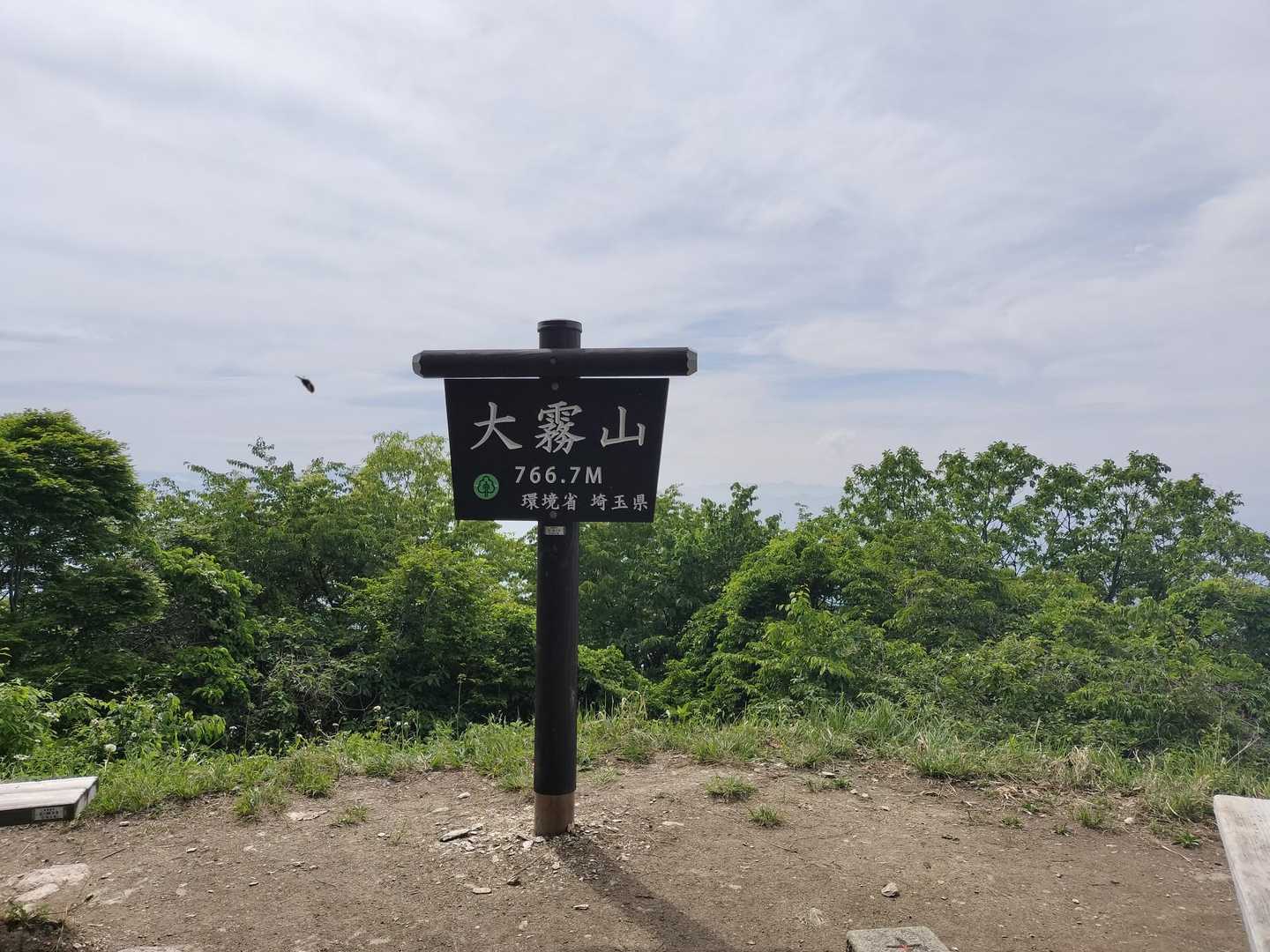 撮り忘れていたので📸