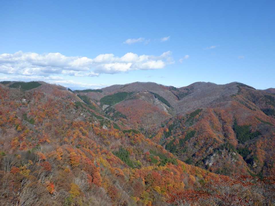 紅葉が綺麗です。