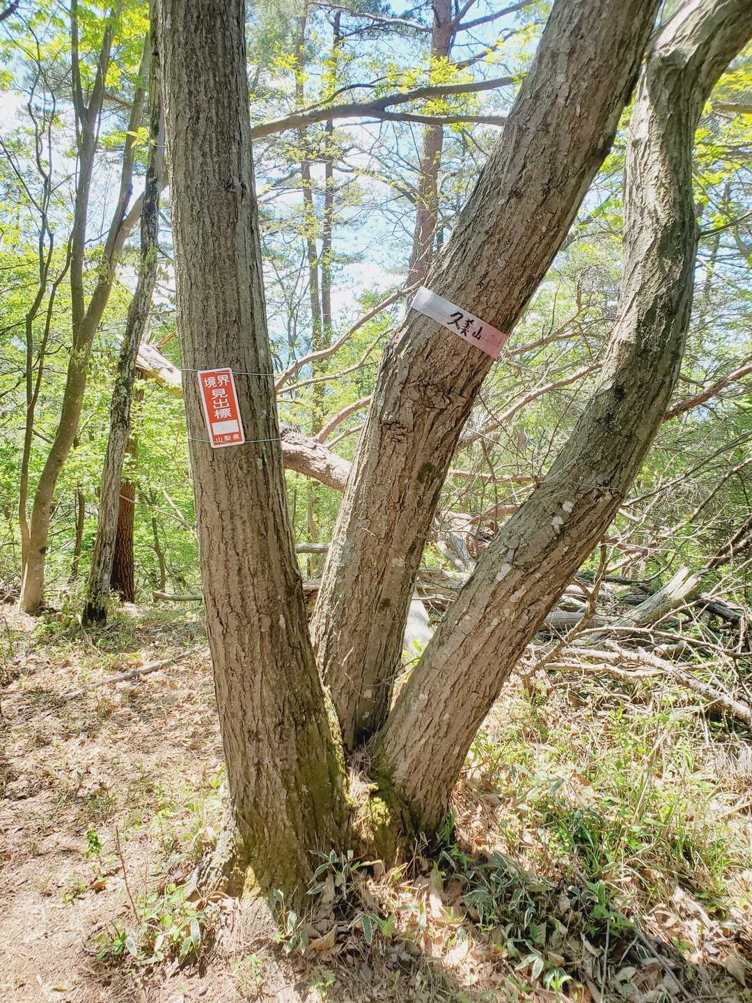 久美山の写真