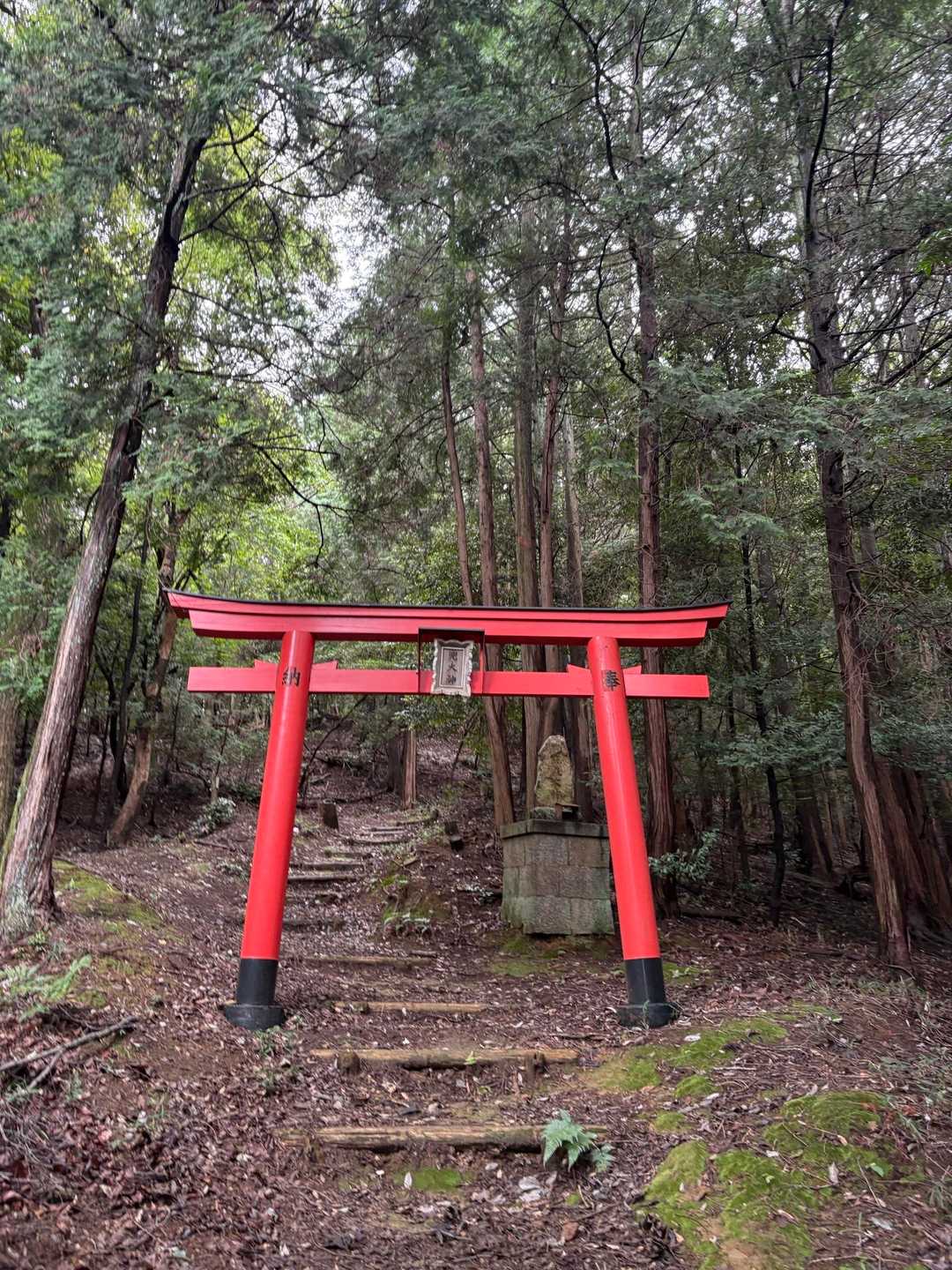 そして、寄ったことのないこちらのルートにも寄り道⛩️
無事下山☑️