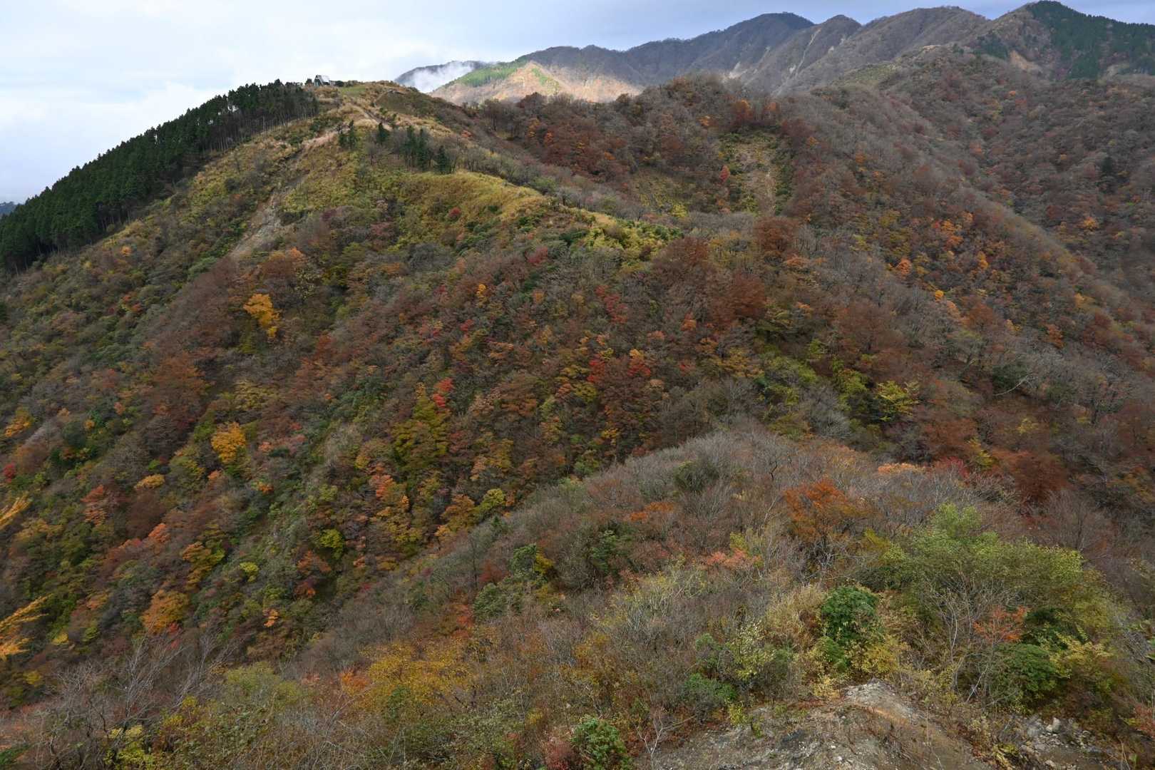 菩提峠-表尾根-塔ノ岳 往復コースの写真