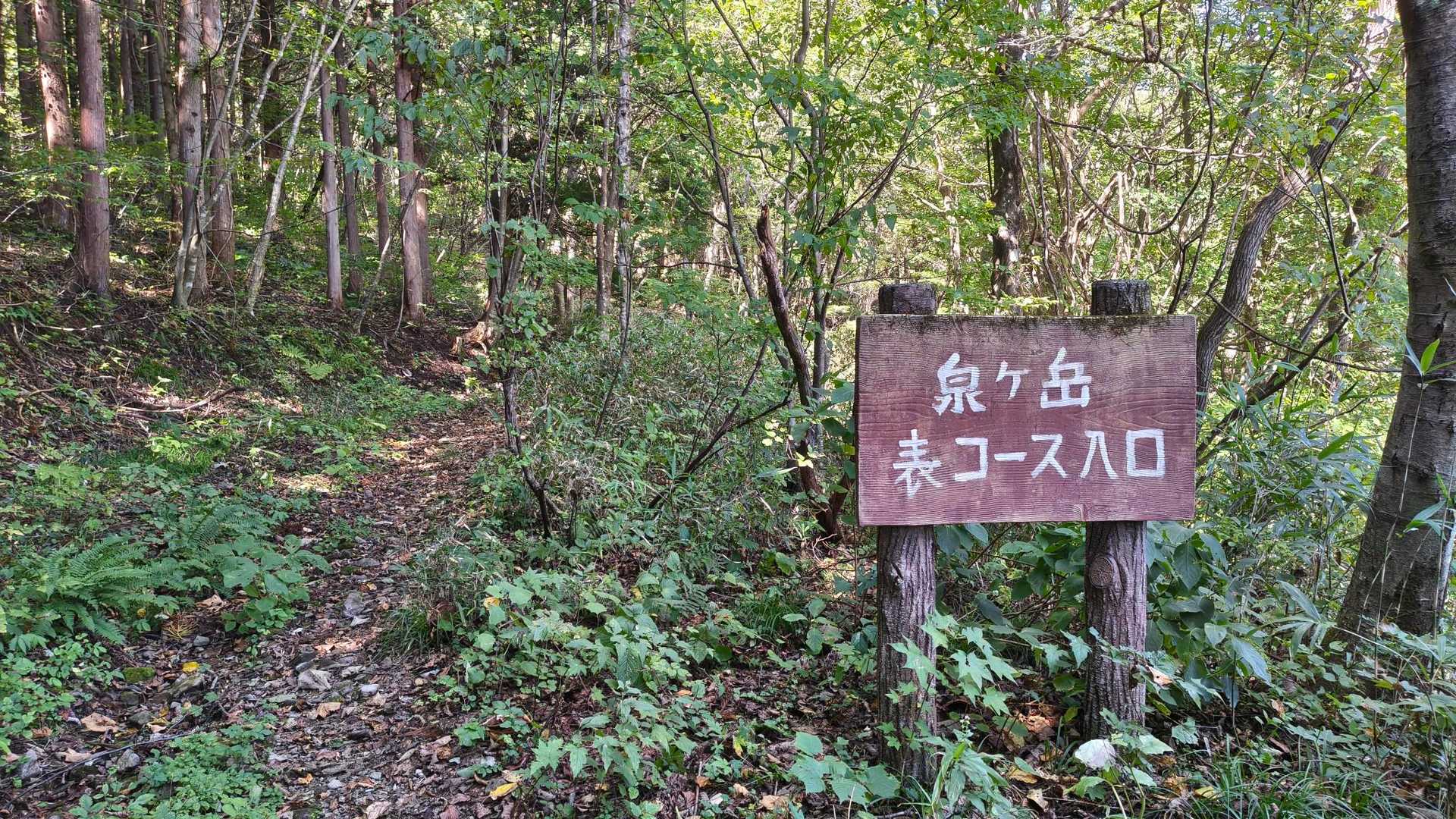 表コース入口到着！