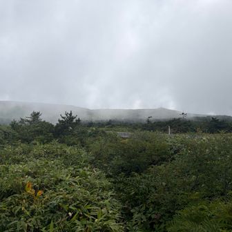 森の中から出ました