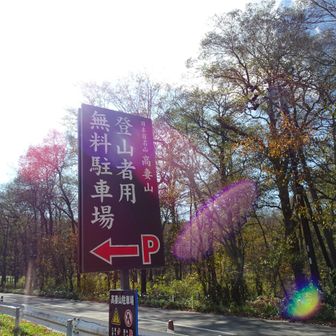 駐車場へ戻りYAMAP終了🎵

やっぱりこういう天気だと曇天より100倍は気持ちよい👍