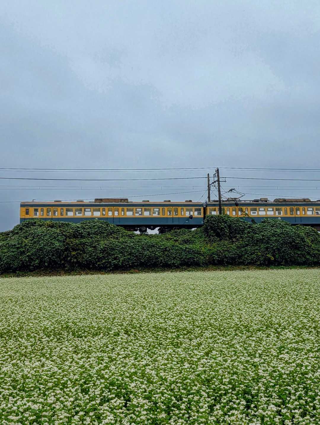 残念😞雨の週末☂️ カーテンの下から不... / deguさんのモーメント | YAMAP / ヤマップ