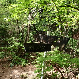 タルワキ沢の分岐
下山はここから
