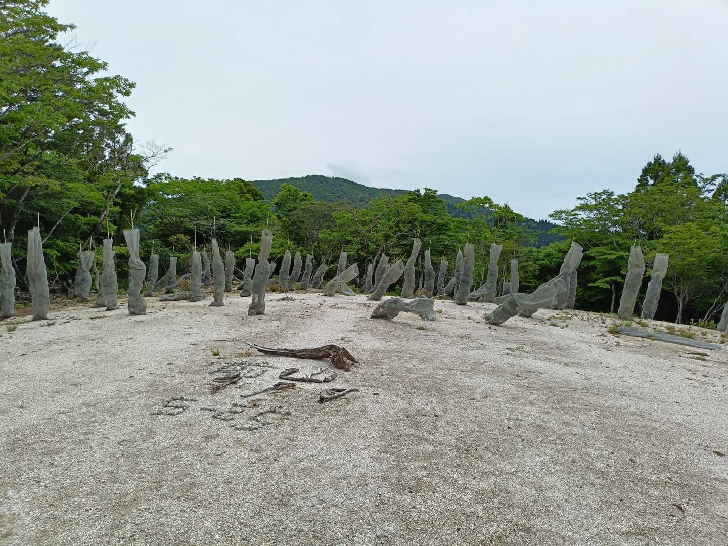 前山、へんなの