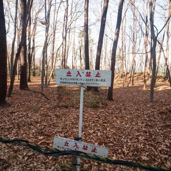 春に花が咲くところ