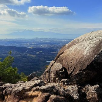 これを見たかった✌️