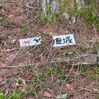 このまま真っ直ぐあるけば竹田城まで行けるみたいだけど、プレート割れてる💔
でも歩いたら竹田城まで何日かかるんだろ…