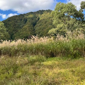 草原に聳え立つ名も知らない山に風情を感じる。