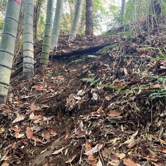 滑る斜面は竹をつかんで…