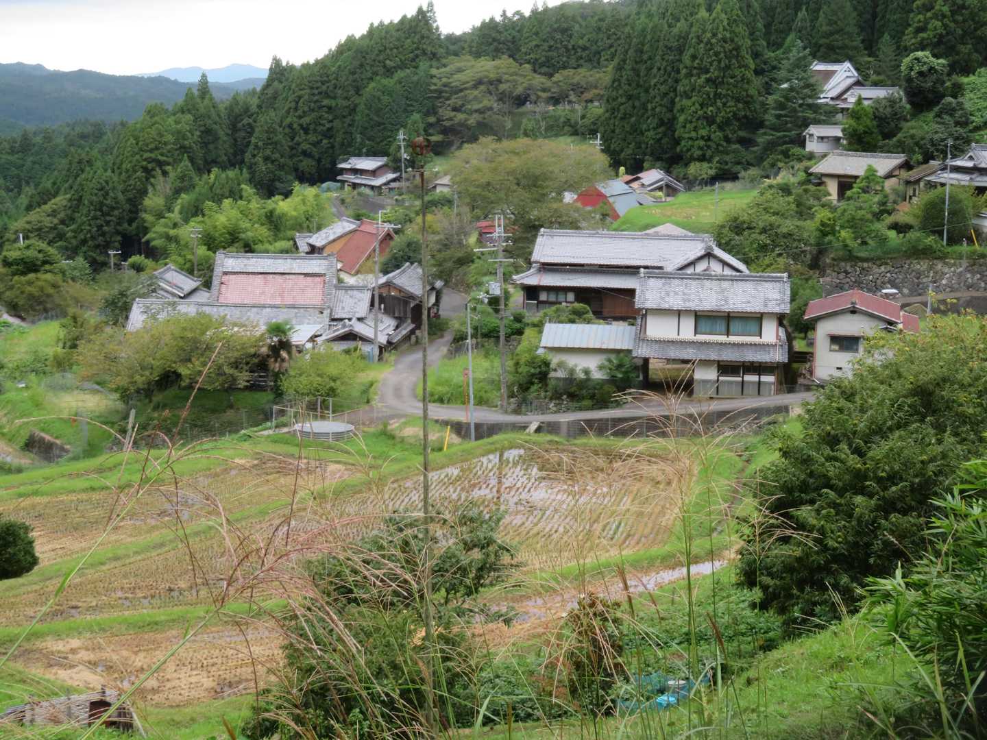 諸木野集落に着きました。