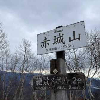 雨がポツポツしてきた！やばい！