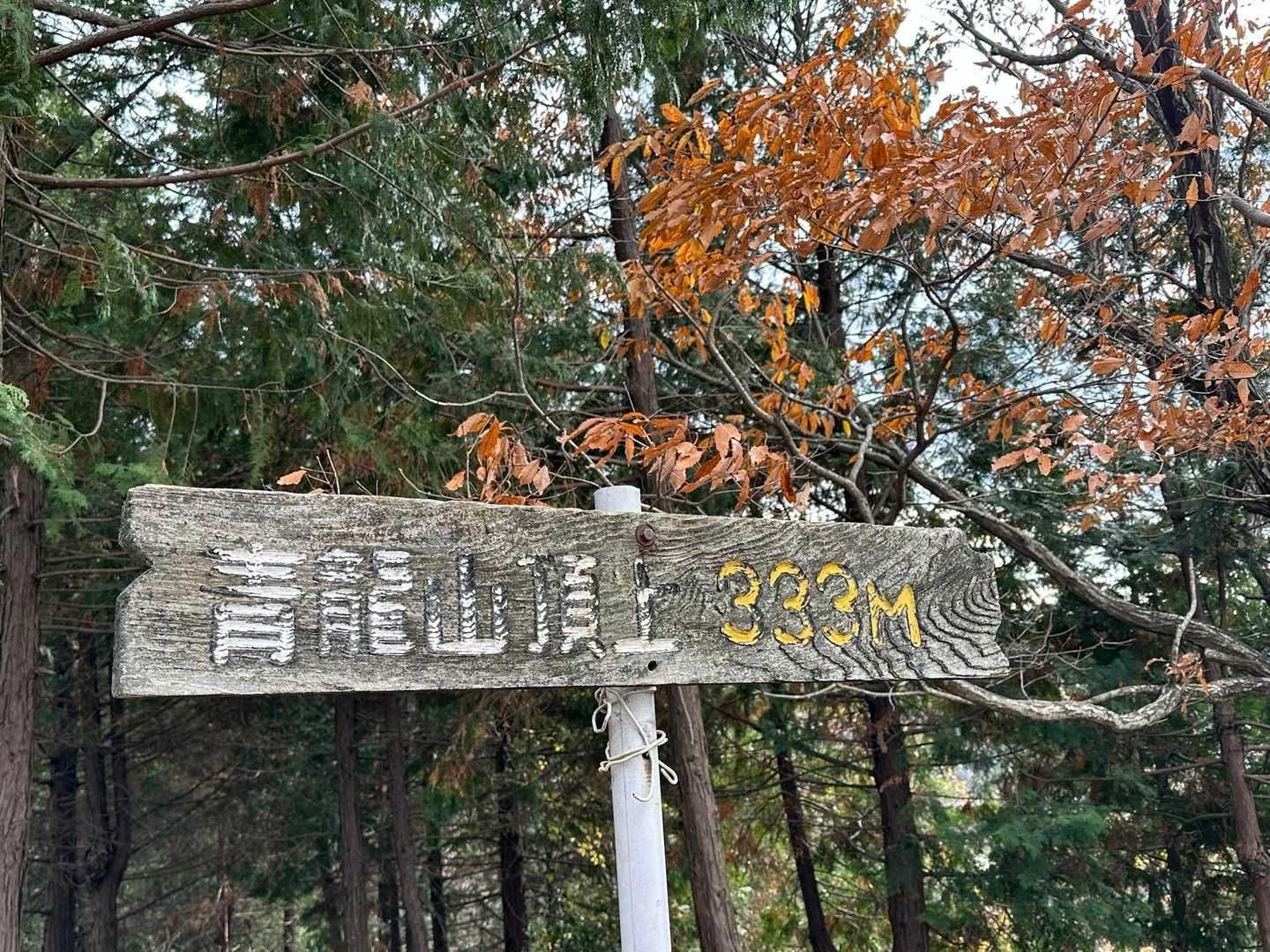 あっという間に青龍山⛰️
333
トリプルスリーが良い感じ🙆
