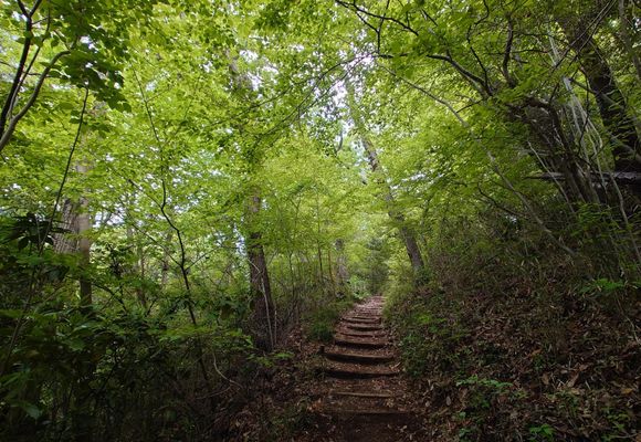 草戸山（東京・神奈川・364m）| 登山ルート・天気 | YAMAP / ヤマップ