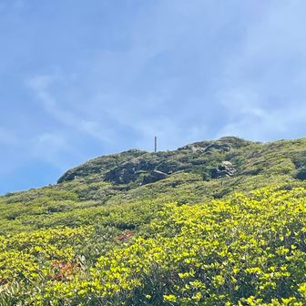 更にお花畑ゾーン突入
朝日岳の道標も見える