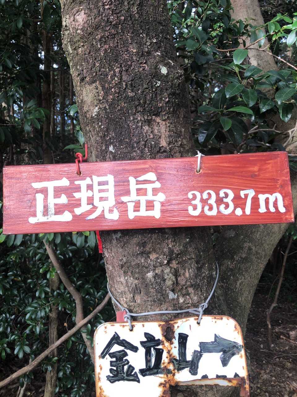 正現岳山頂です⛰   眺望は無し❗️
山頂スペースはほぼ登山道と変わり無しです😌