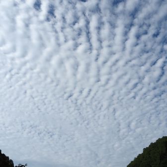雲が面白い