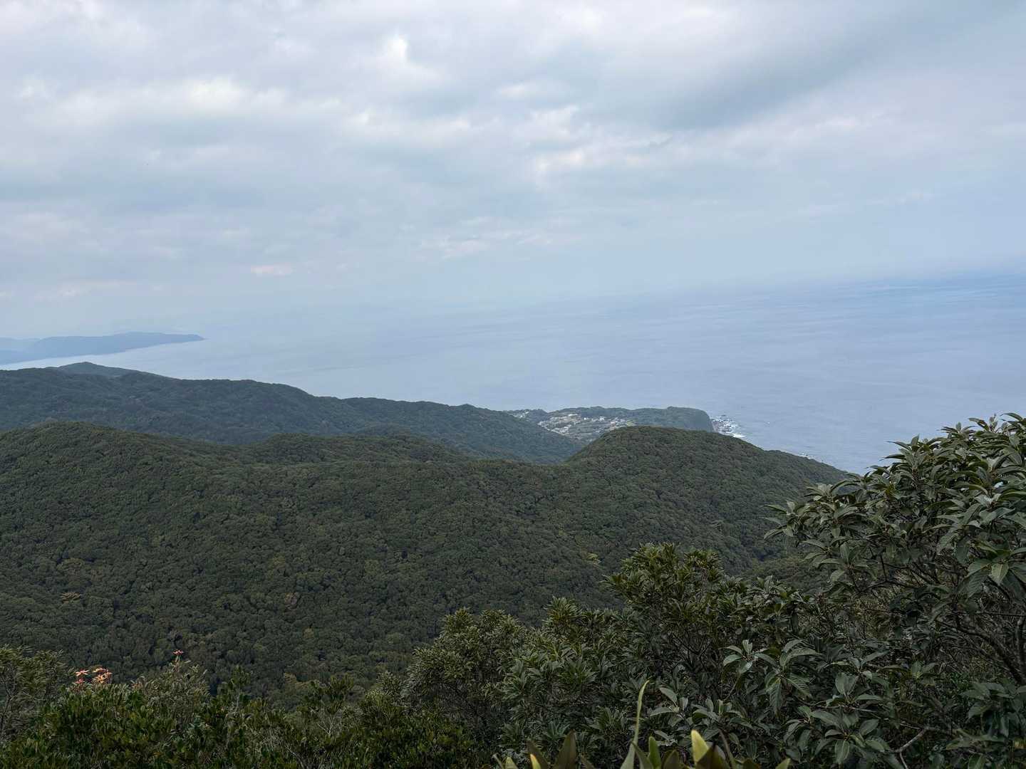 太平洋が見えます