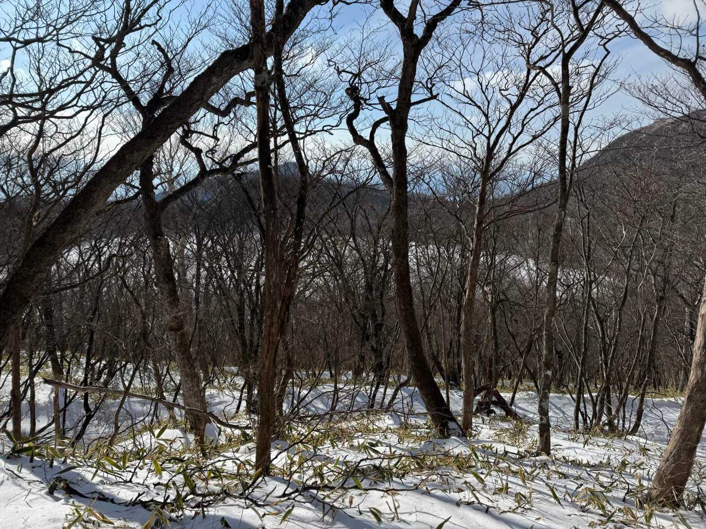 小地蔵岳-長七郎山 周回コースの写真