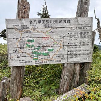 ロープウェイ山頂駅へ戻ってきました。