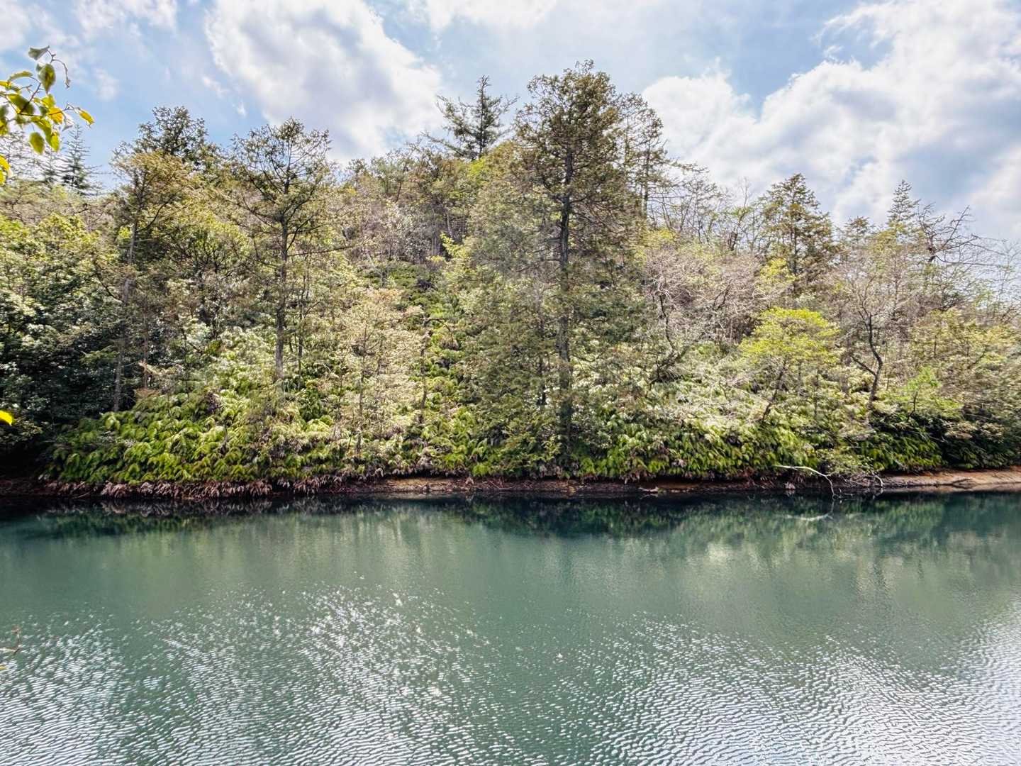 ちょっと大きな池？