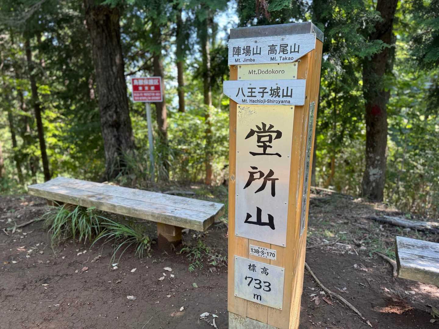 どうところやま
今日は寄ってみた
トレーニングなので今日はまき道無し