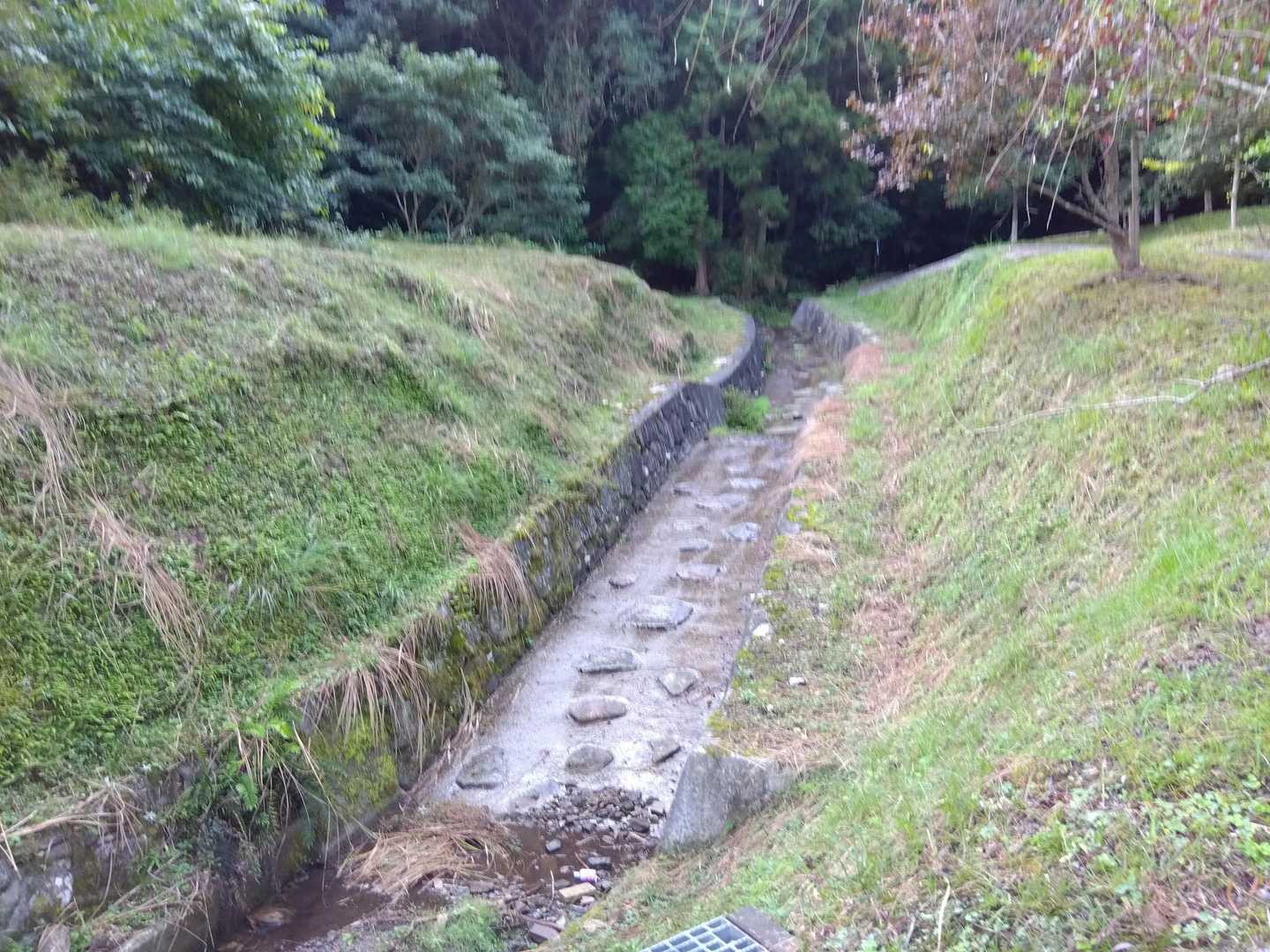 素敵な小川🩵