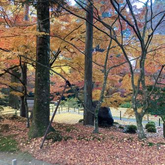 もう少し見て行こ