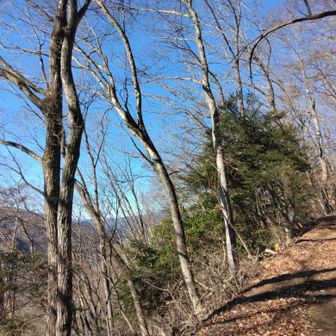 あるきやすい道