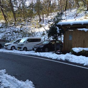 所定の駐車場からスタート