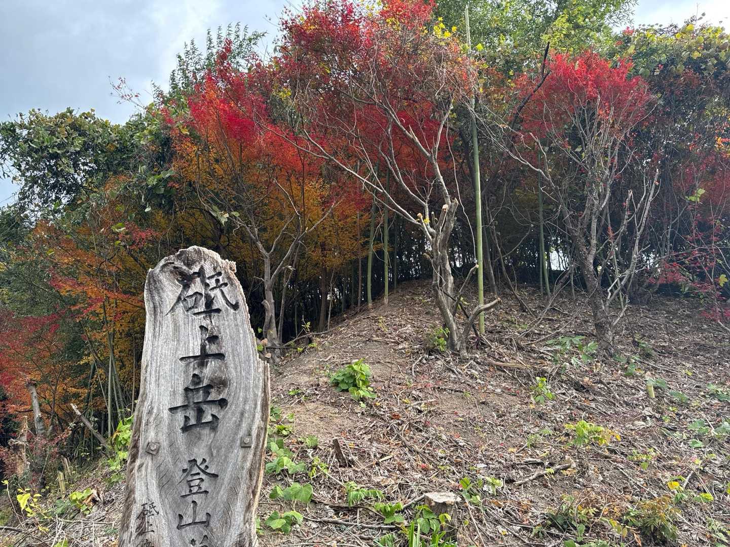 燃えるような赤ってよく言ったものです🤔