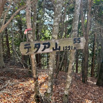 みさ百標識🪧テタア山です。
ここはスーパー林道歩いていればピークハント認定されます。でも水窪の山の雰囲気を味わえるので、是非登って欲しいですね(^^)(常光寺登山口側から)