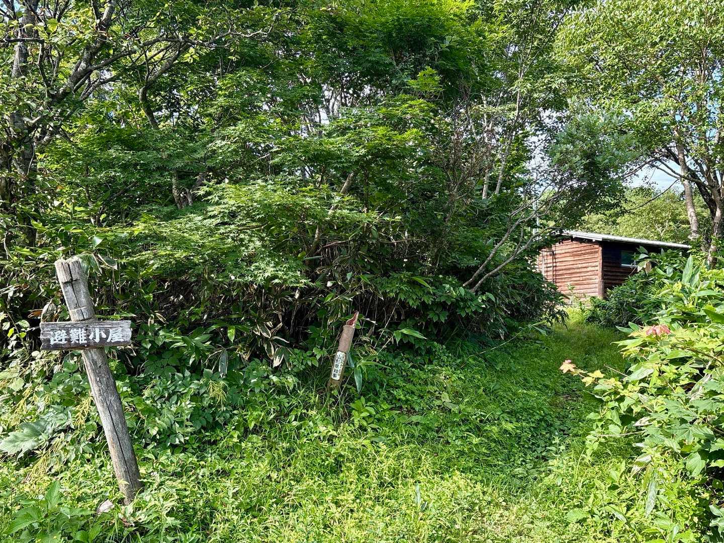舗装道路を歩いてる途中に避難小屋あり