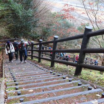 公園の階段を登る。