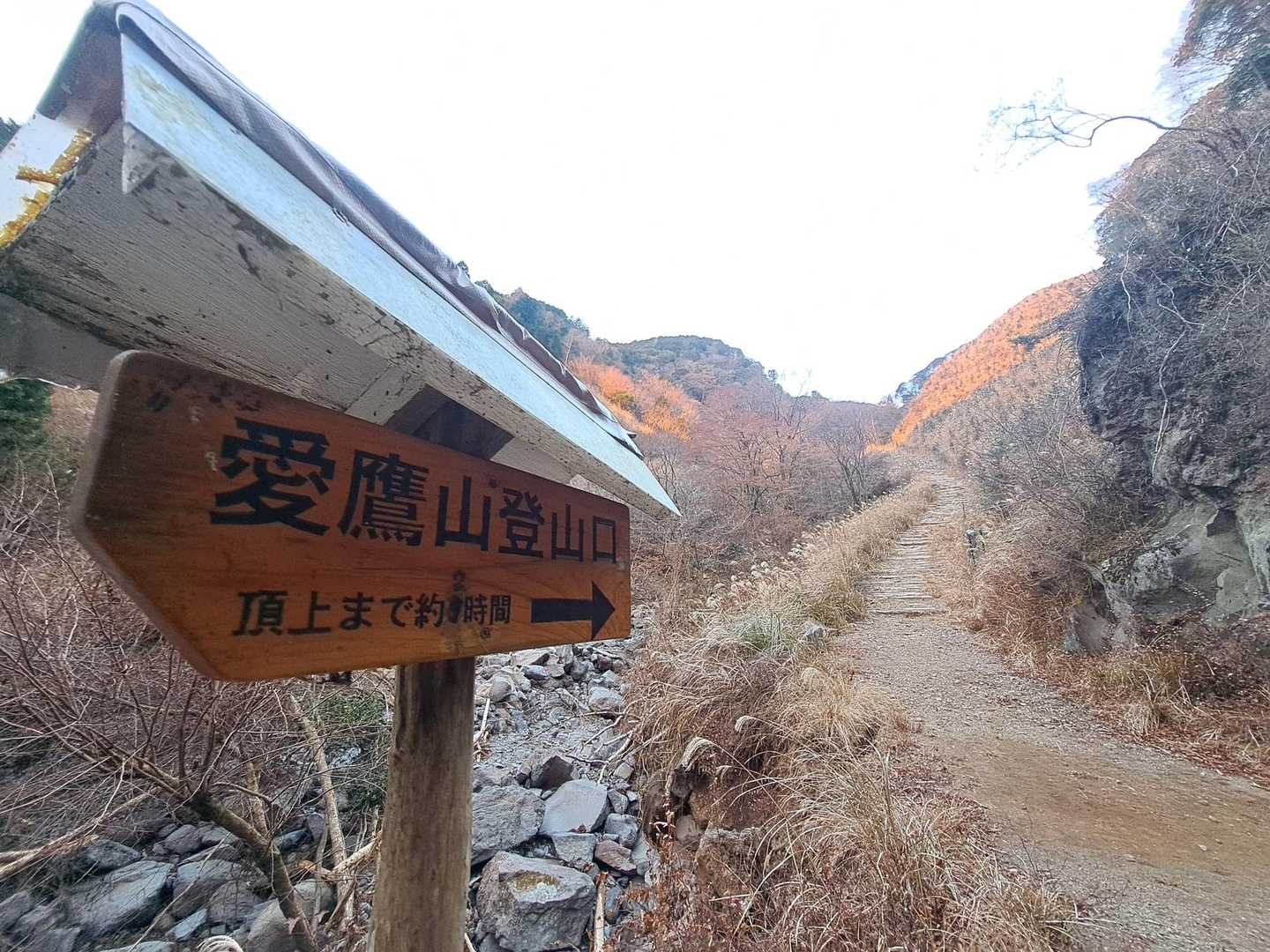 ここから登山道💨