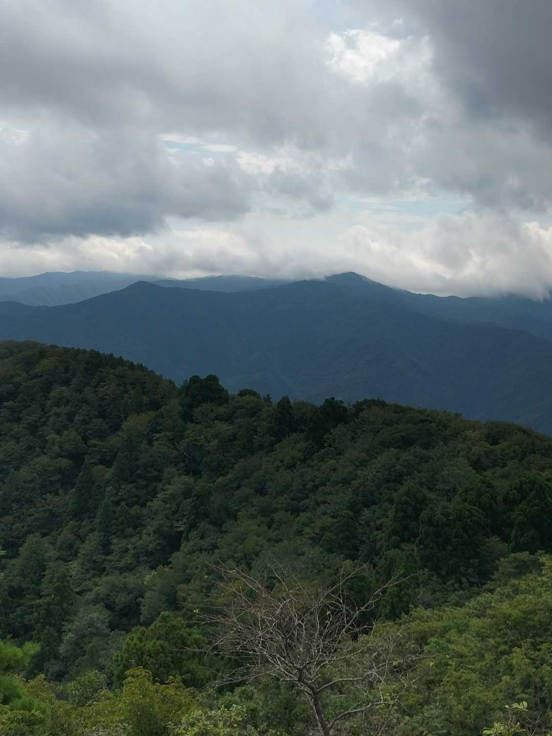 百里ヶ岳〜