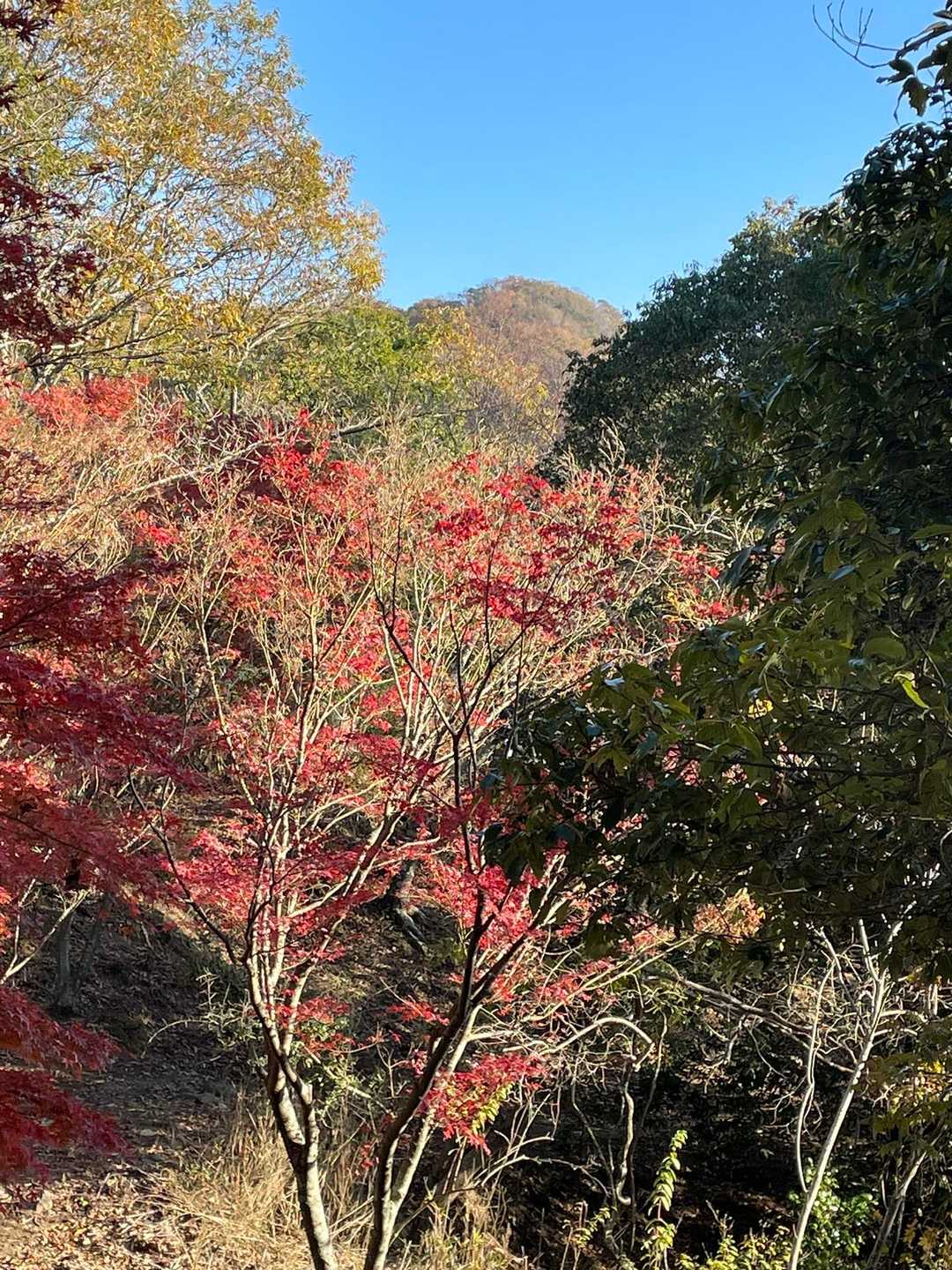 天神山ピーク