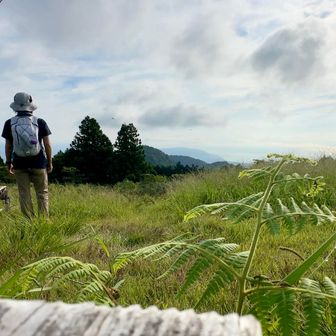 ゆっくりしたので花沢山へ向かいます🙂