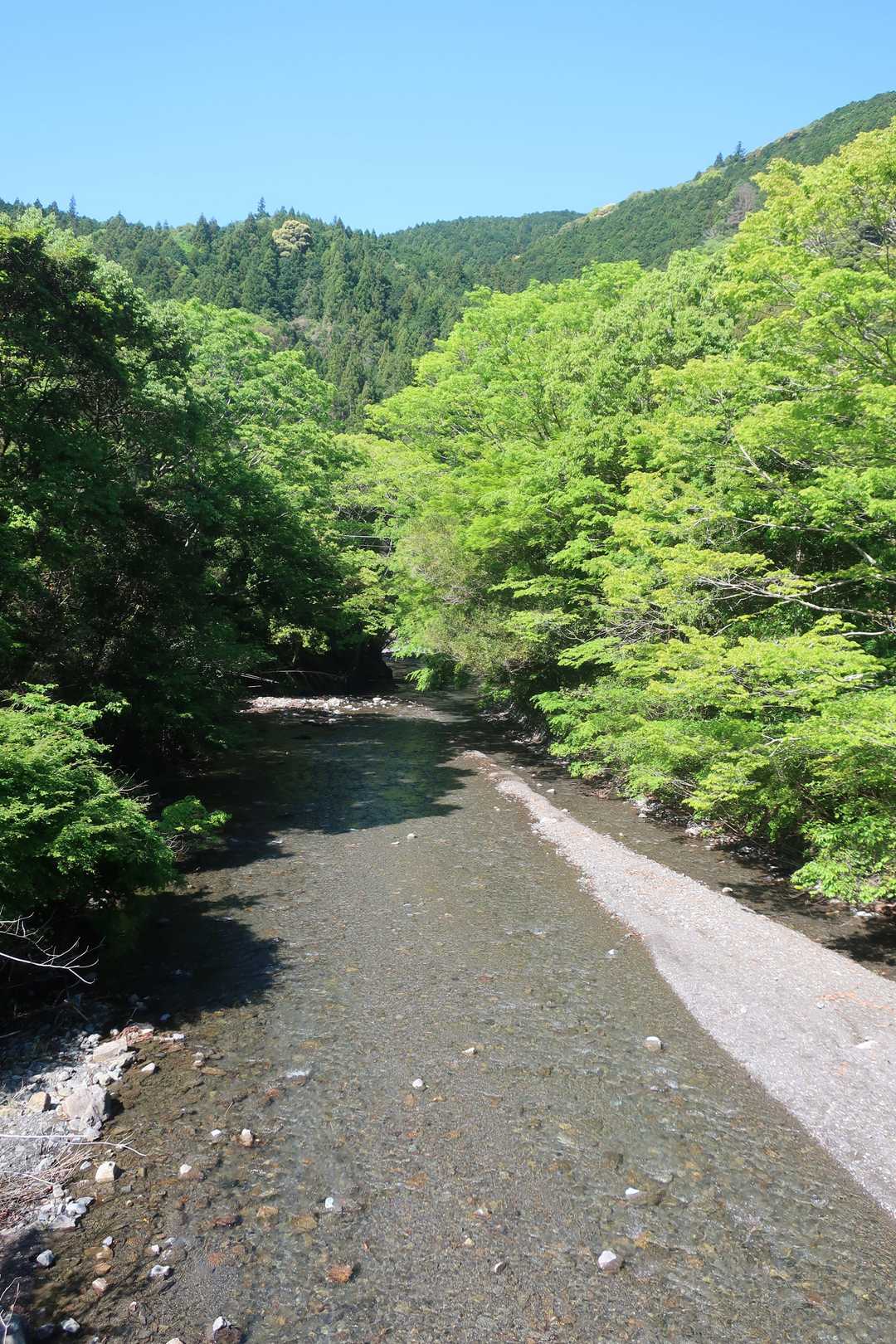 瀬戸川の両岸も新緑が青々としていました。ささやかな時間だったけど、リフレッシュになる山歩きでした。