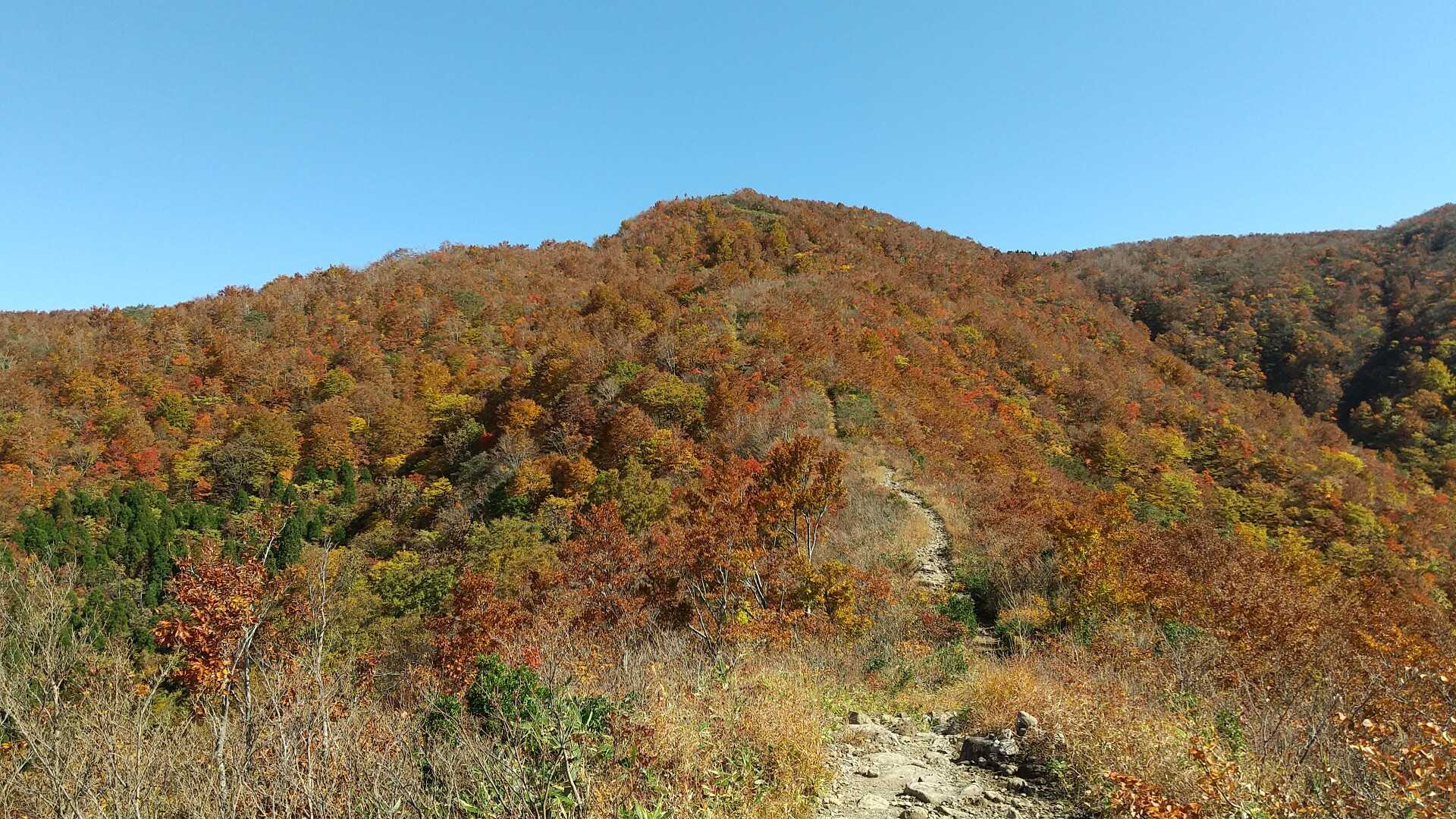 こつぶり山の写真